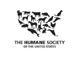 Jonah Halper - The Humane Society
